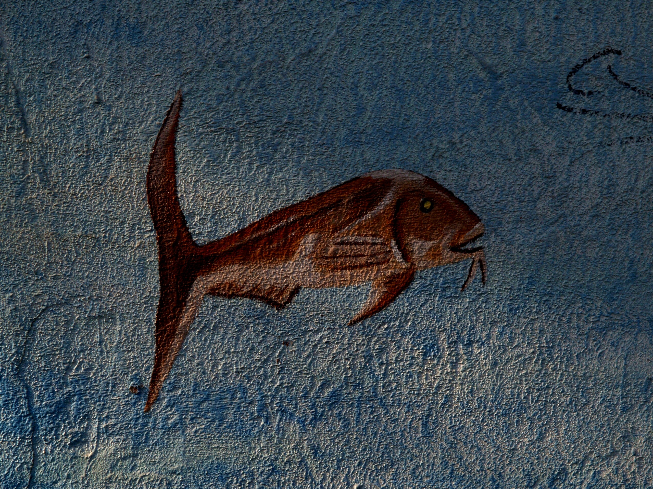 10-04-0599tiergraffluisenfisch